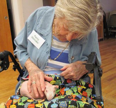 Peggy Marinakis holds a hairless guinea pig from the Caring Paws Program.